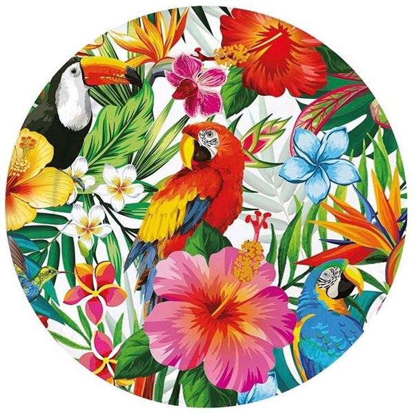 Imagens de Platos Hawaii cartón 23cm (6 unidades)