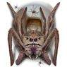 Imagens de Decorado Adhesivo Araña Monstruosa WC