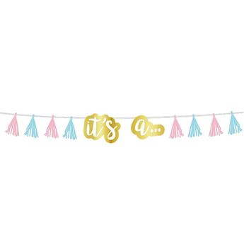 Imagen de Guirnalda Gender Reveal (2,4m)
