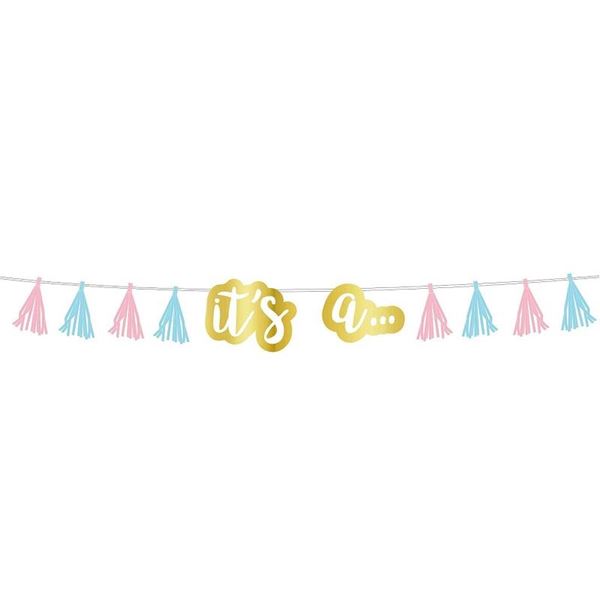 Picture of Guirnalda Gender Reveal Borlas (2,4m)