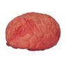 Imagen de Cerebro Ensangrentado