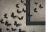 Picture of Mariposas Negras papel (30 unidades)