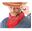 Picture of Pañuelo Vaquero cowboy Rojo