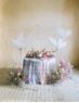 Picture of Decoración LED Mariposa 🦋  Blanca cm 194cm x 80cm