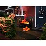 Picture of Globo Calabaza Espeluznante 45cm