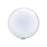 Imagen de Globos Takara T-Balloon 40cm Clear SIN VÁLVULA (10 unidades)