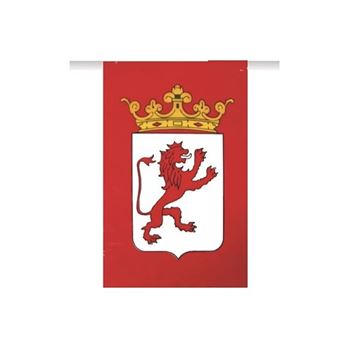 Imagen de Guirnalda Bandera León Plástico (50m)