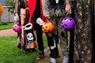 Imagen de Cubo Calabaza Surtido plástico (16cm)