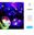 Imagen de Pulseras LED luminosas Fiestas (3uds)