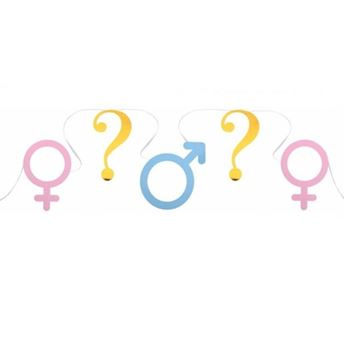 Imagen de Guirnalda Gender Reveal cartón (5m)