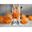 Imagen de Globos Calabazas Naranja con Luz Látex (5 unidades)