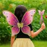 Picture of Set de Alas de Mariposa Rosa con Varita