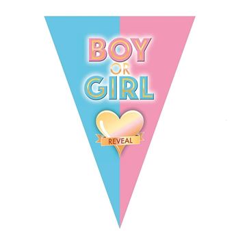 Imagens de Banderín Boy Or Girl Reveal Plástico (5m)