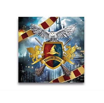 Imagen de Servilletas Escuela de Magia papel 33cm (20uds)
