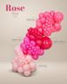 Picture of Globos Rosa Nuevo Fashion Sólido 60cm Sempertex R24-011 (10)