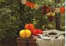 Imagen de Decorado Calabazas Nido de Abeja Halloween (3 unidades)