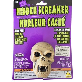 Imagen de Grito de Terror al Encender la Luz – Calavera