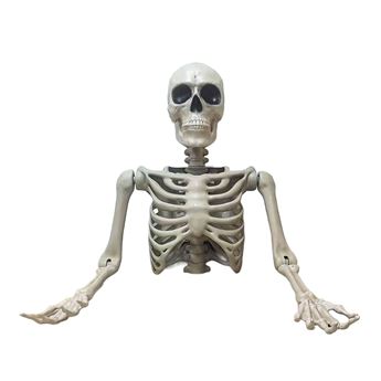 Imagens de Esqueleto Torso Gigante Articulado 104cm
