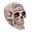 Imagen de Calavera Ouija Decorativa Halloween (18cm)