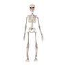 Imagen de Esqueleto Colgante Articulado Halloween (50cm)