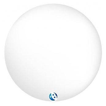 Imagen de Globo Takara T-Balloon 50cm Clear SIN VÁLVULA (1 unidad)